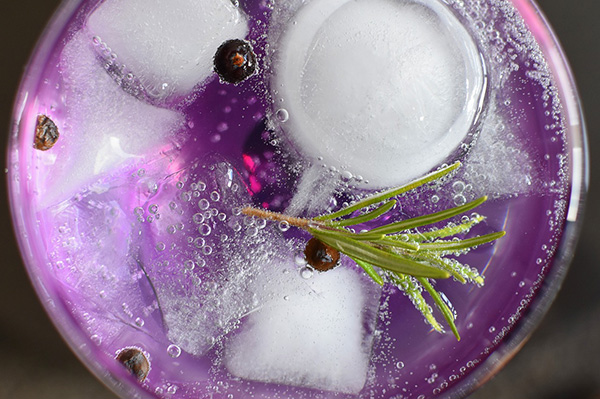 gin tonic bacche di ginepro