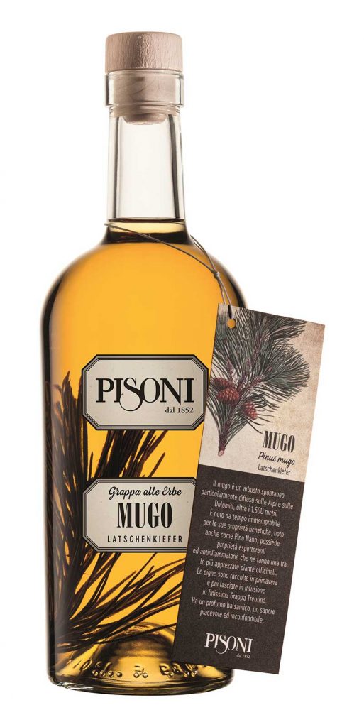 grappa aromatizzata al mugo pisoni